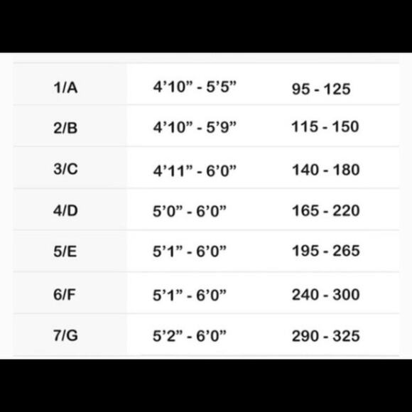 Spanx Assets Star Power Shaping Sheer Plus Style 7P241 Nude Size F - Picture 6 of 6